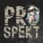 Pro Spekt