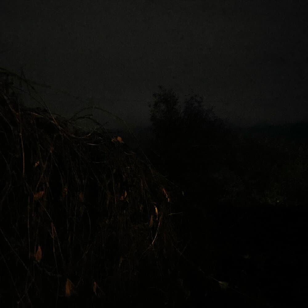 Чайкин Олег