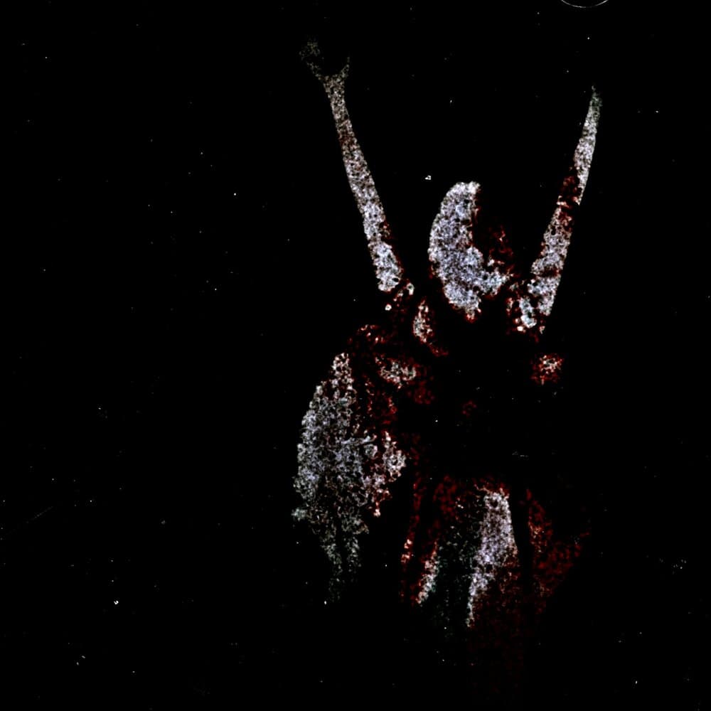 Ускорение Свободного Падения