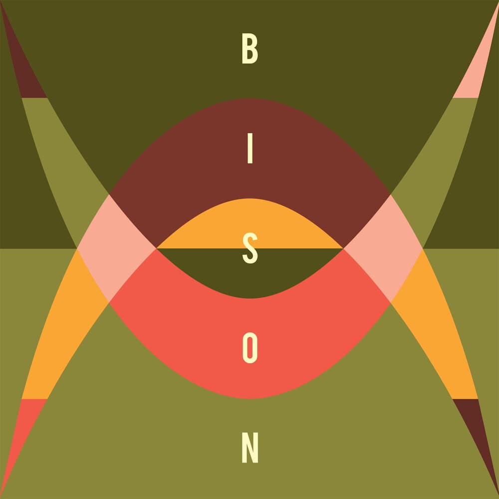 Bison