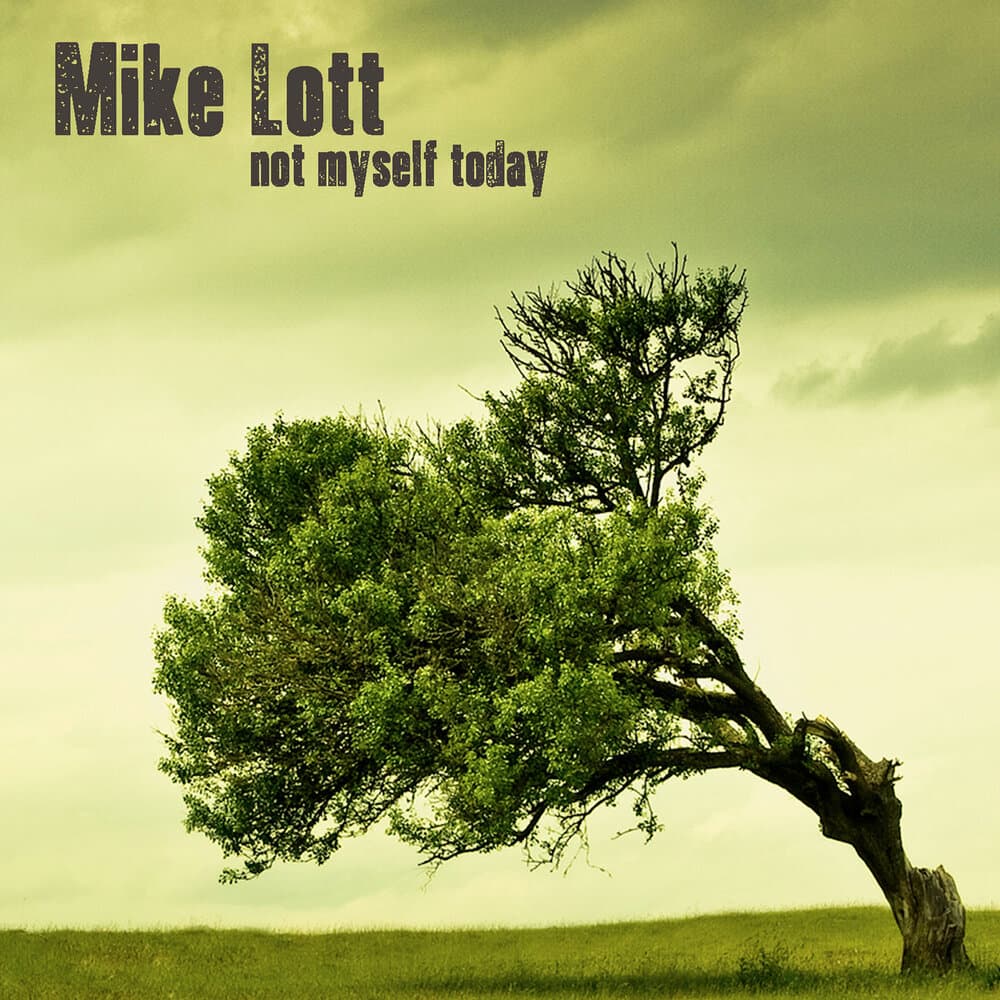 Mike Lott