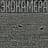 Эхокамера