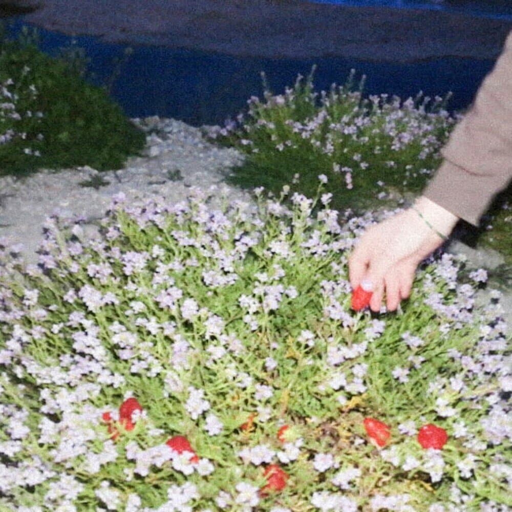 Stellina Malinconica