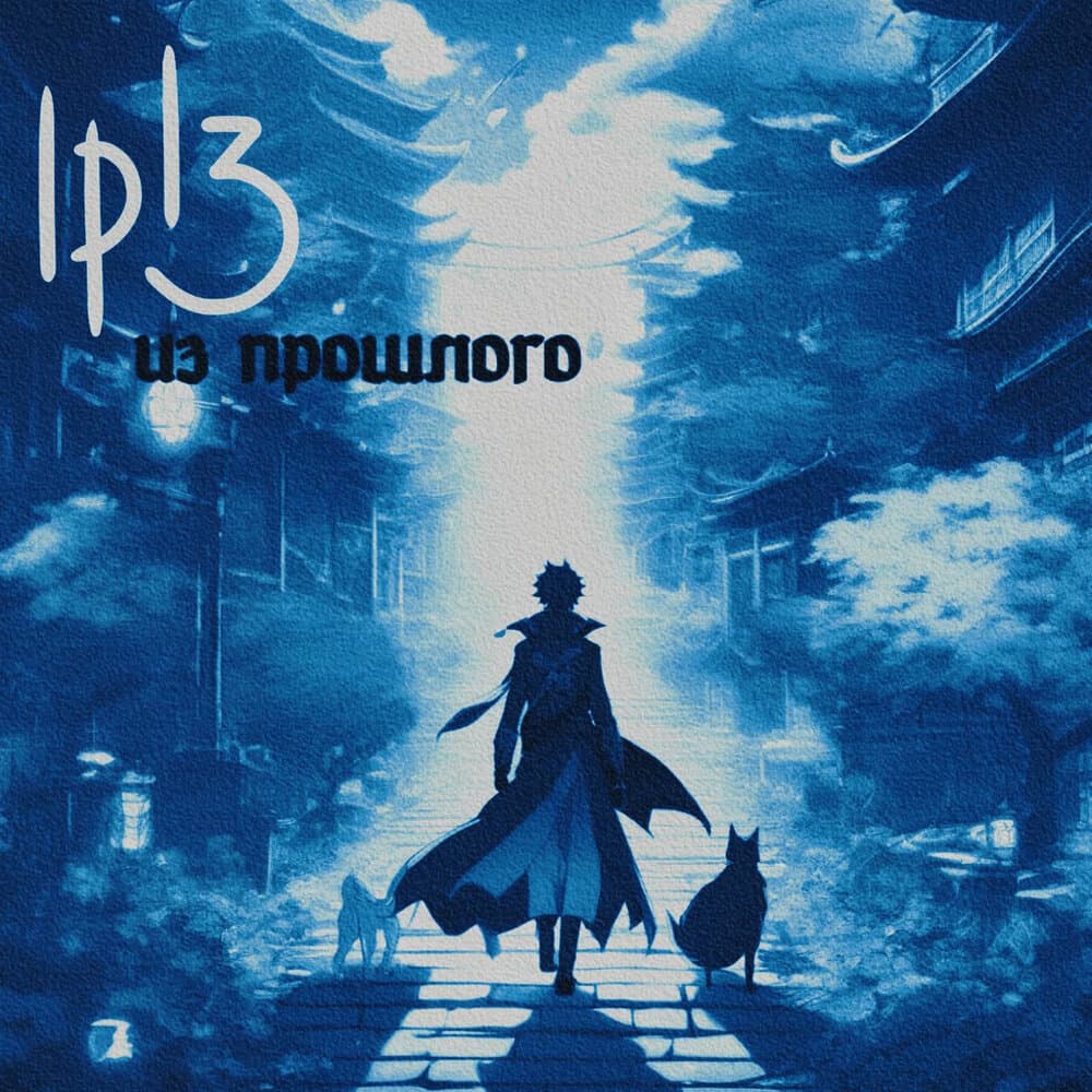 IP13