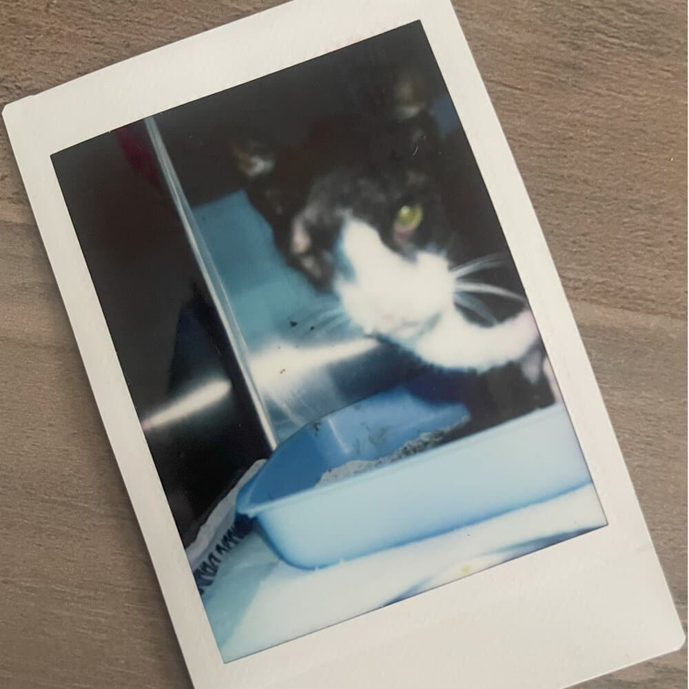 Khadidja Ikram Soltani